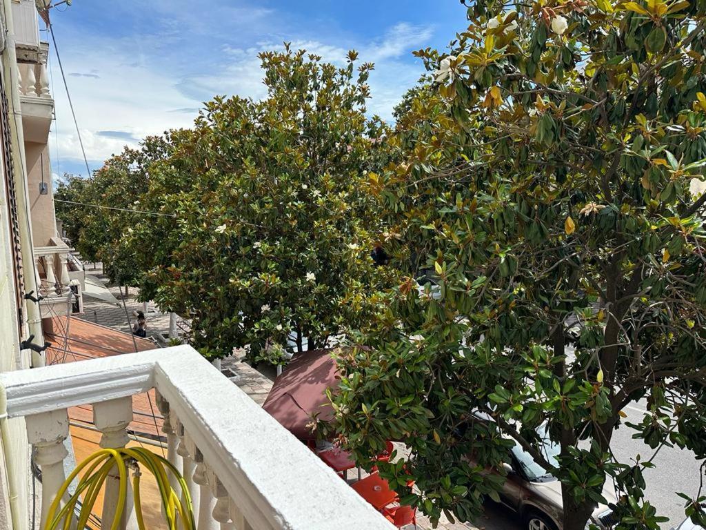 City Center Shkodra B&B Dış mekan fotoğraf